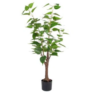 ต้นไม้ Topiary ประดิษฐ์ต้นไม้ Ficus Tree